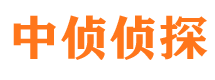 禄丰寻人公司